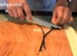 About Vanilla Bean